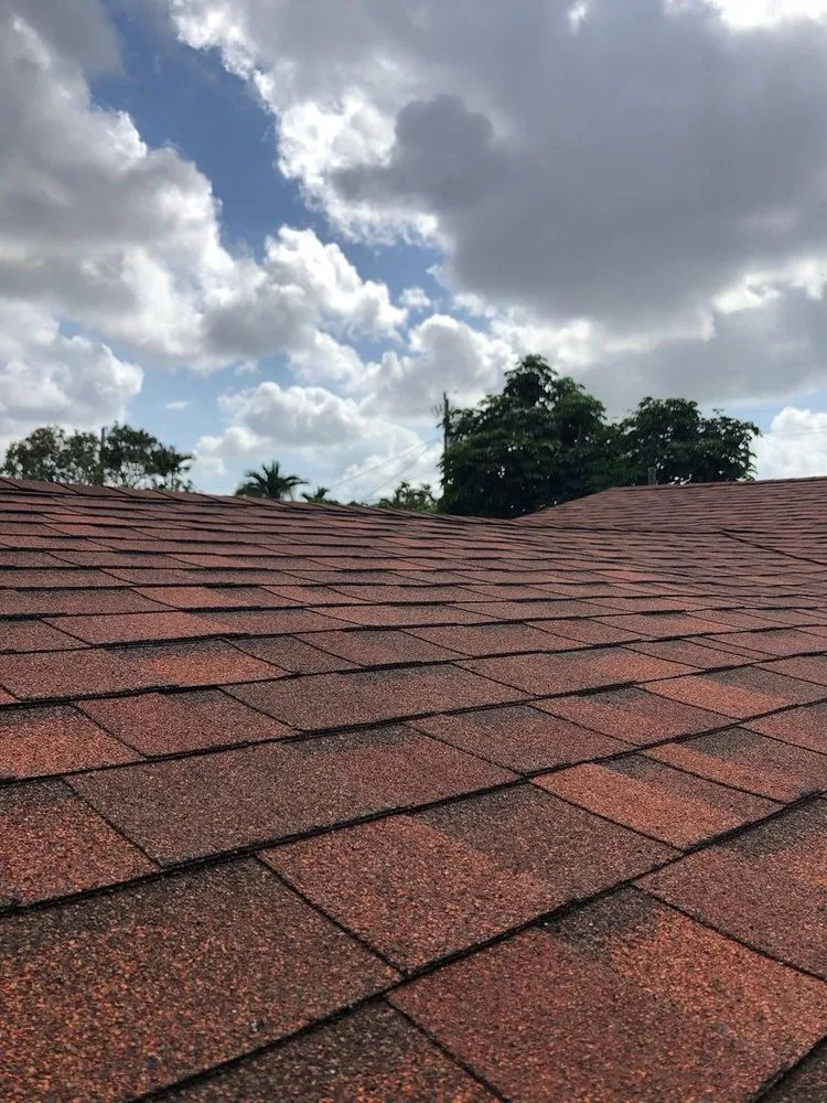 Trusted landscaping services in San Fernando Valley, CA - Renew Green Living