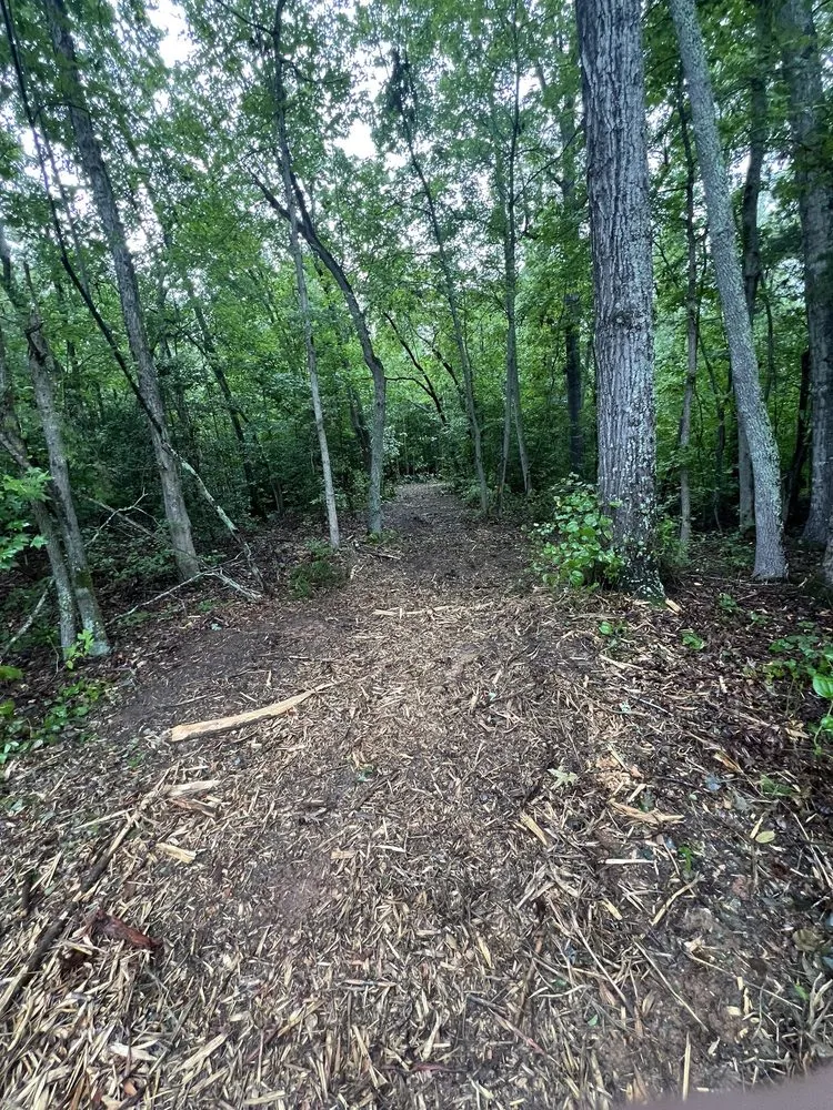 Reliable outdoor landscaping with custom design across Greenville, SC - Renew Land Management