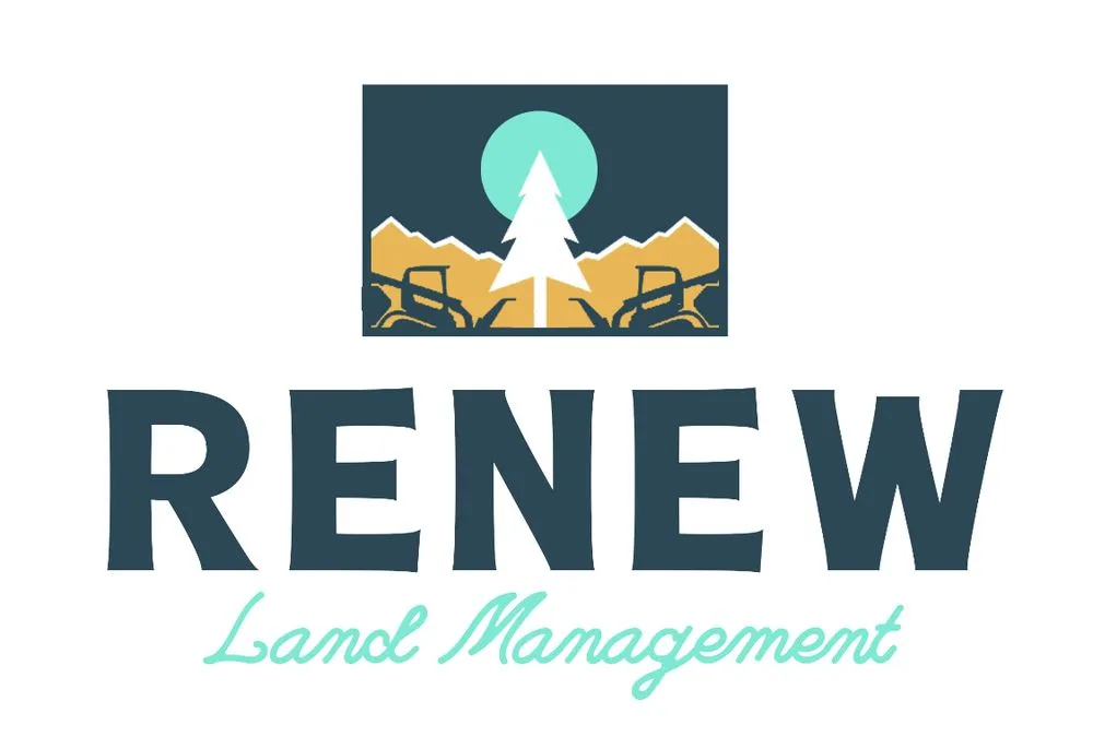 Expert outdoor landscaping for homes in Greenville, SC by Renew Land Management