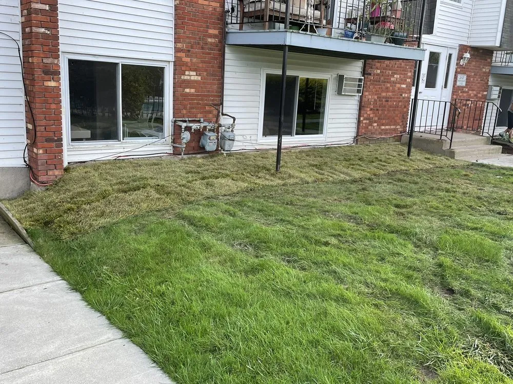 Professional landscape design experts serving Grand Island, NY - ReNew Lawn Care & Landscaping Services