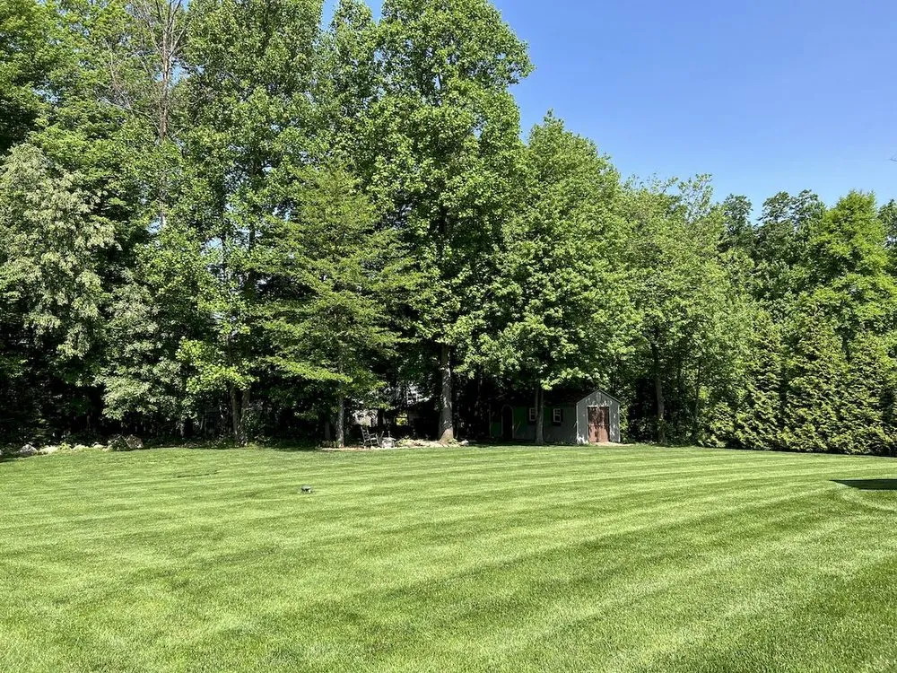 Trusted yard cleanup service in Ronks, PA by Renew Turf Science