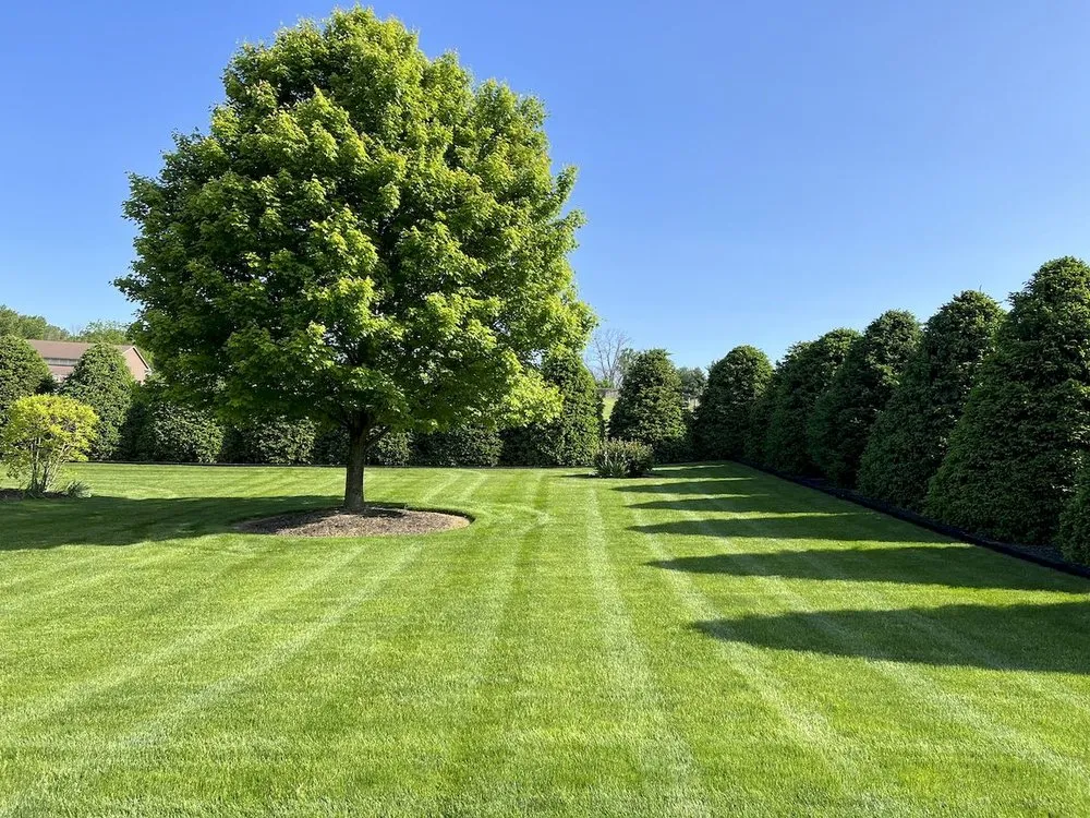 Custom residential landscaping for year-round maintenance in Ronks, PA by Renew Turf Science