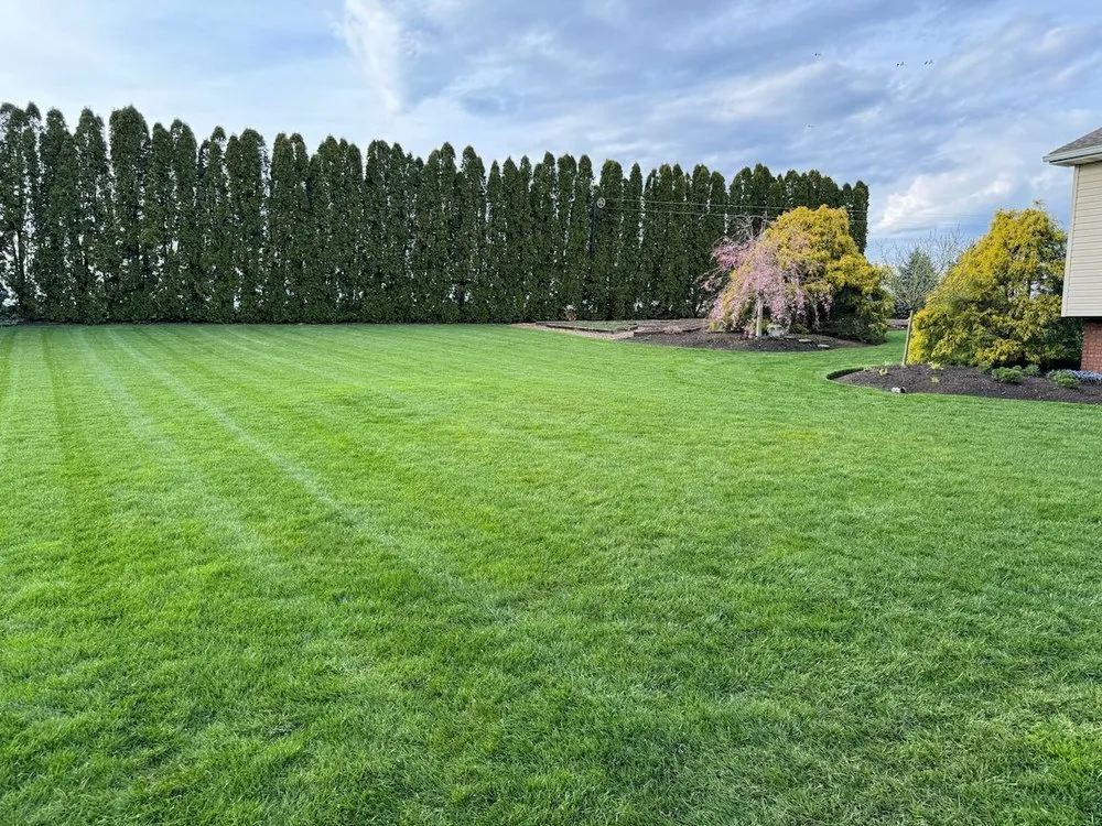 Professional lawn care service in Ronks, PA - Renew Turf Science
