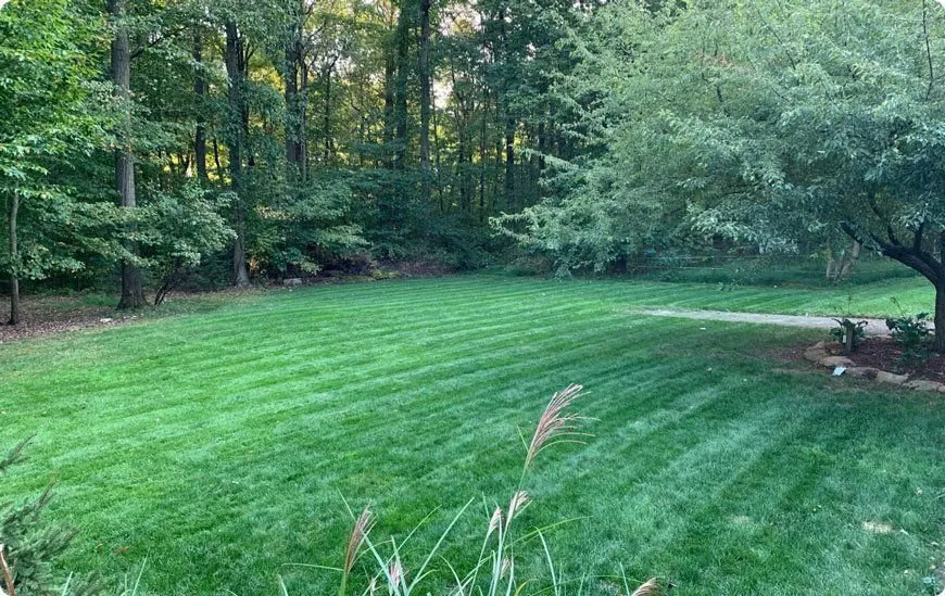 Affordable lawn mowing service with custom design across Ronks, PA - Renew Turf Science