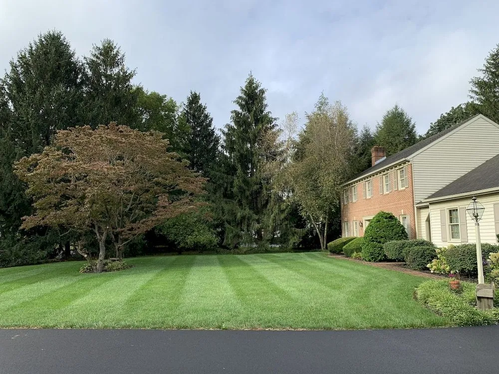 Expert lawn mowing service for beautiful yards in Ronks, PA by Renew Turf Science