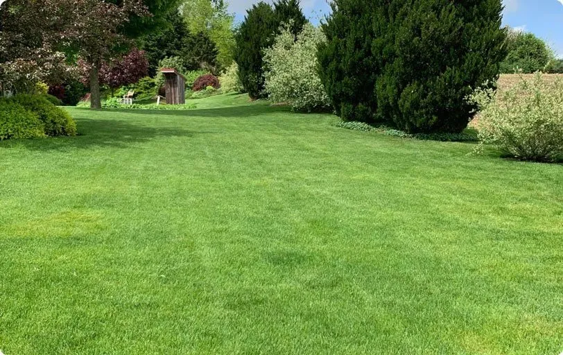 Local outdoor landscaping for year-round maintenance in Ronks, PA by Renew Turf Science