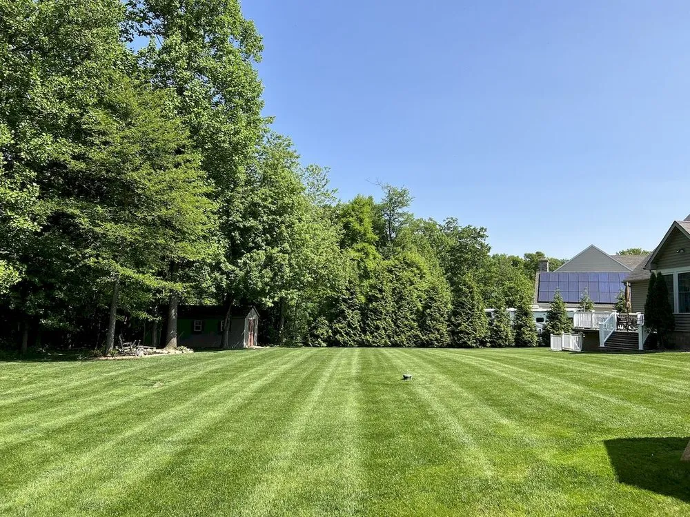Local lawn care service in Ronks, PA - Renew Turf Science