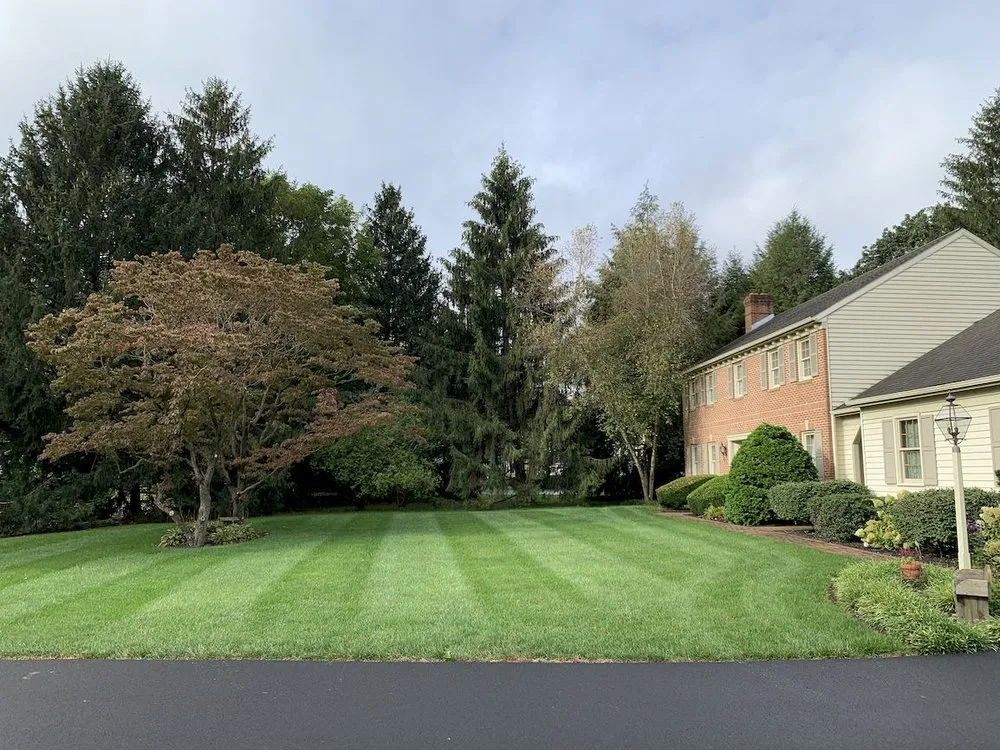 Affordable residential landscaping with custom design across Ronks, PA - Renew Turf Science