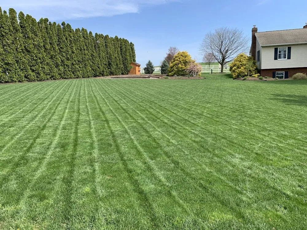 Trusted yard maintenance experts serving Ronks, PA - Renew Turf Science