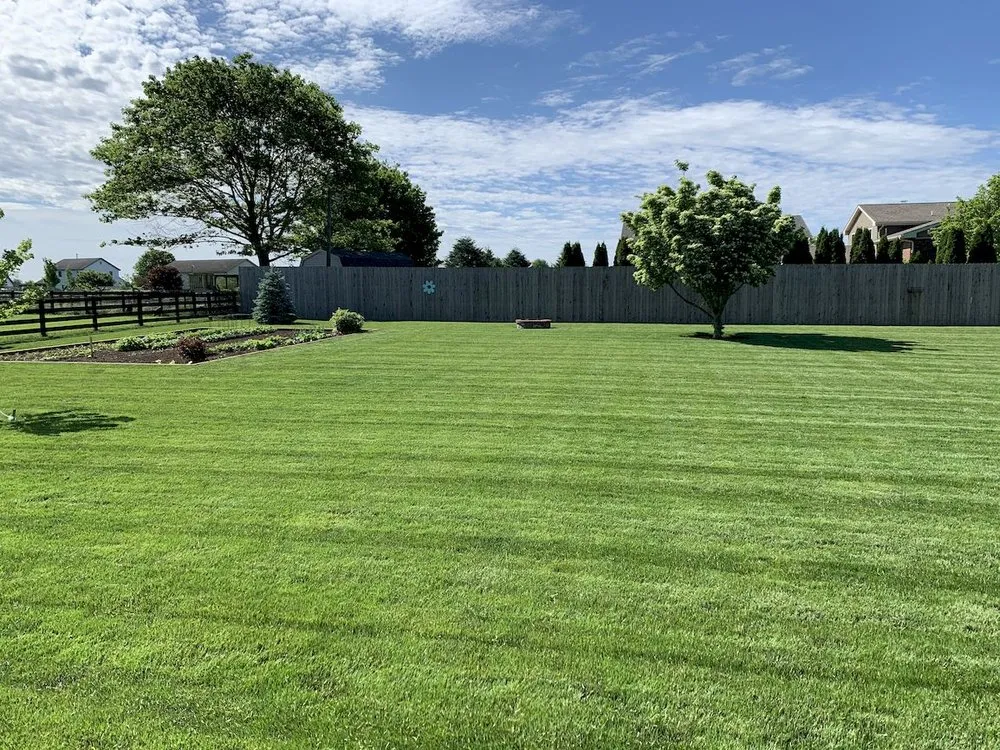 Affordable lawn mowing service in Ronks, PA by Renew Turf Science