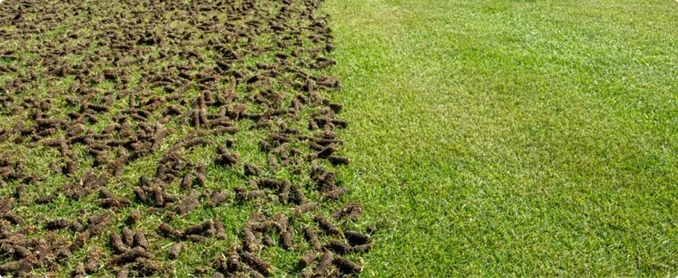 Trusted yard maintenance for year-round maintenance in Ronks, PA by Renew Turf Science