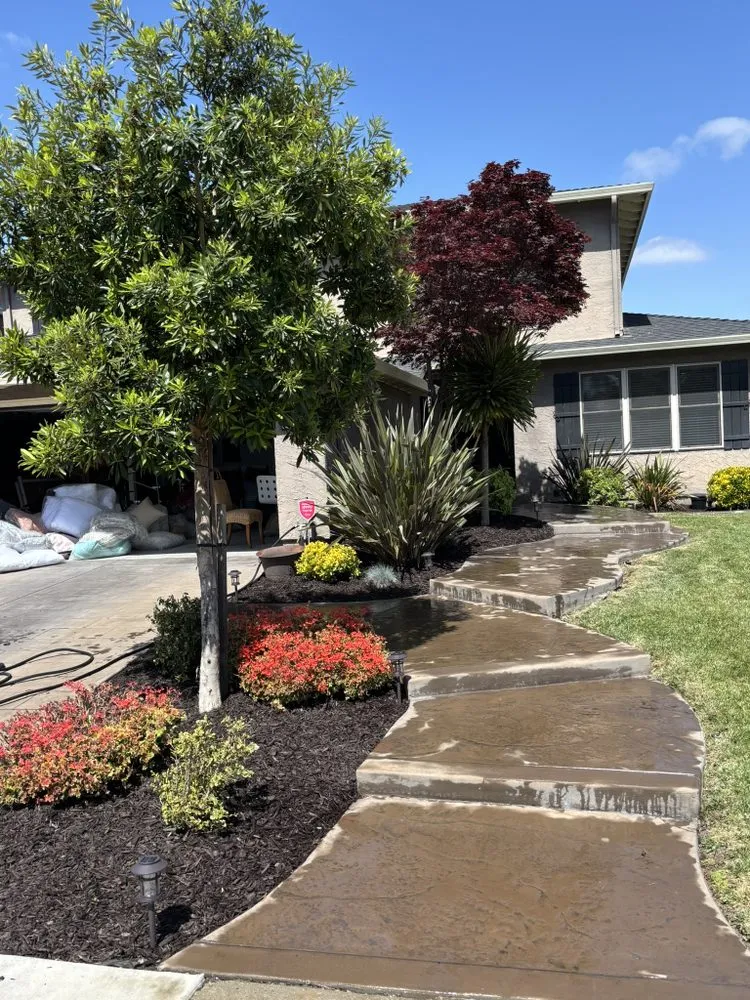 Local landscape design experts serving Santa Clara, CA - Renewal Maintenance