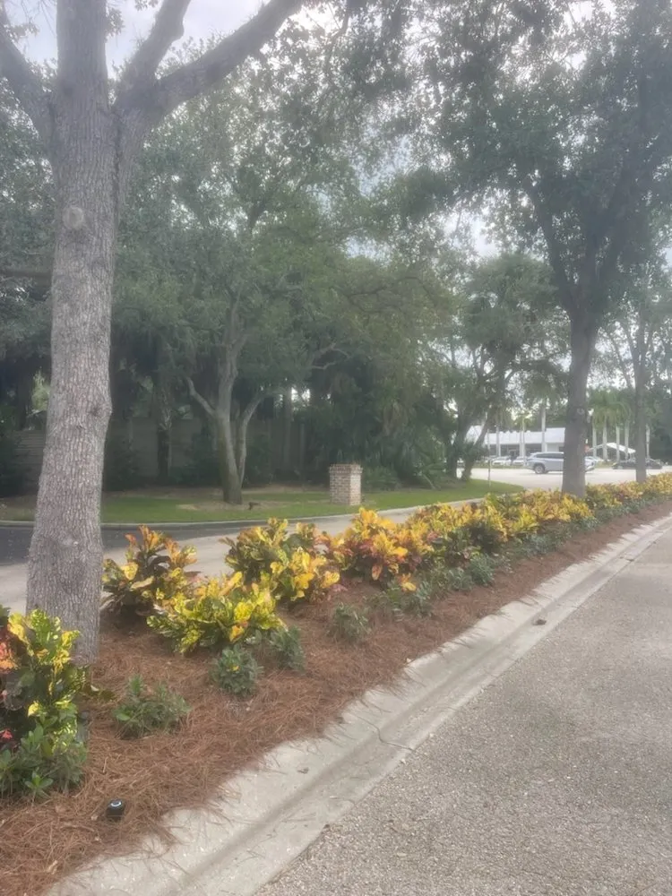 Expert yard cleanup service for homes across Naples, FL - Renfroe & Jackson