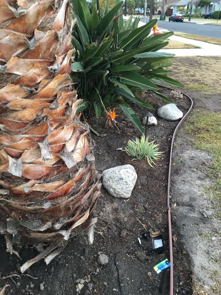 Custom residential landscaping experts serving Hawthorne, CA - Rennbrandt Designs