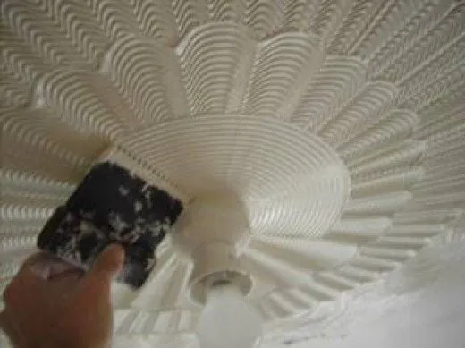 Reliable yard cleanup service in Reno, NV - Reno Advantage Professional Services