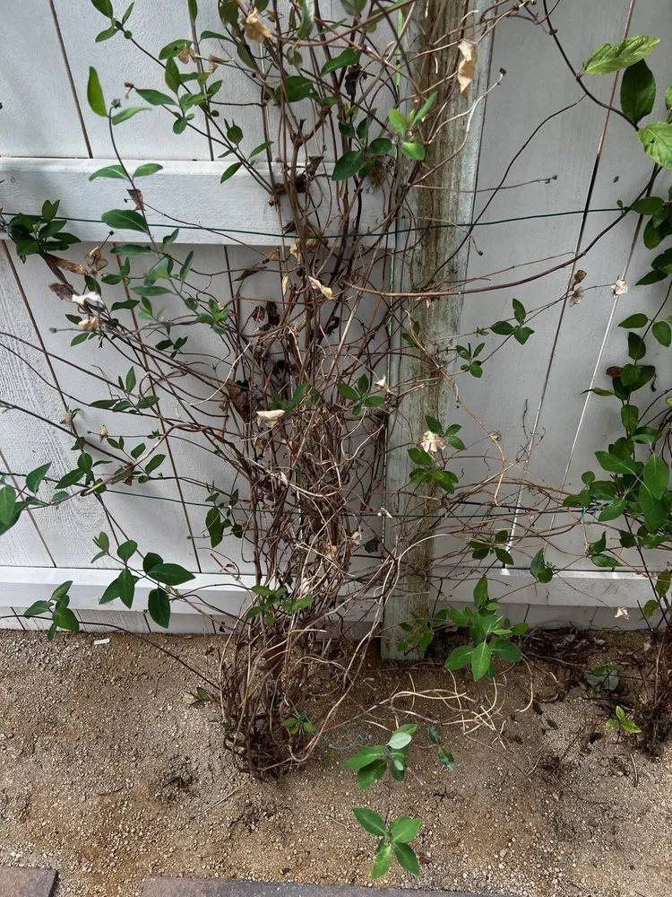 Local outdoor landscaping experts serving Reno, NV - Reno Green Landscaping