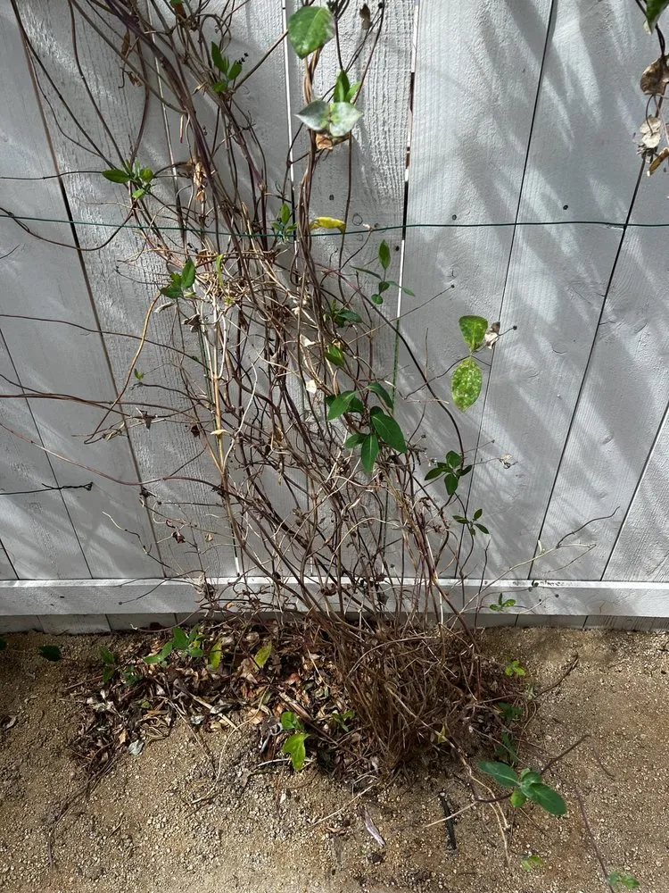 Trusted garden landscaping with custom design across Reno, NV - Reno Green Landscaping