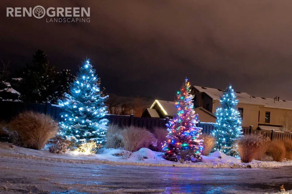 Expert landscaping services in Reno, NV - Reno Green Landscaping