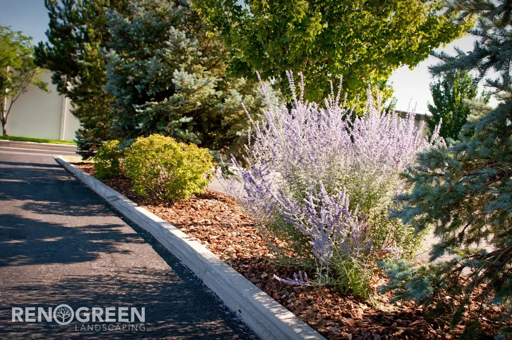 Trusted landscape installation in Reno, NV by Reno Green Landscaping