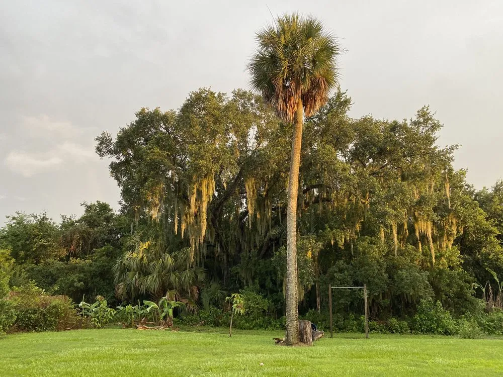 Trusted landscape installation in Kissimmee, FL - Reno Home