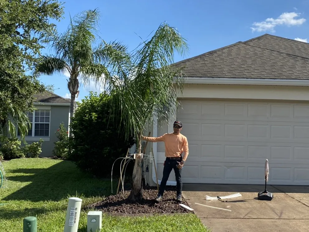 Expert outdoor landscaping experts serving Kissimmee, FL - Reno Home