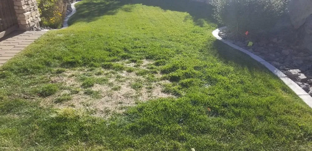 Custom lawn mowing service in Sparks, NV by Reno Sprinkler Repair & Sod