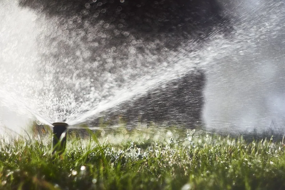 Local residential landscaping experts serving Sparks, NV - Reno Sprinkler Repair & Sod