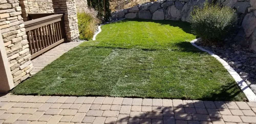 Professional lawn care service experts serving Sparks, NV - Reno Sprinkler Repair & Sod