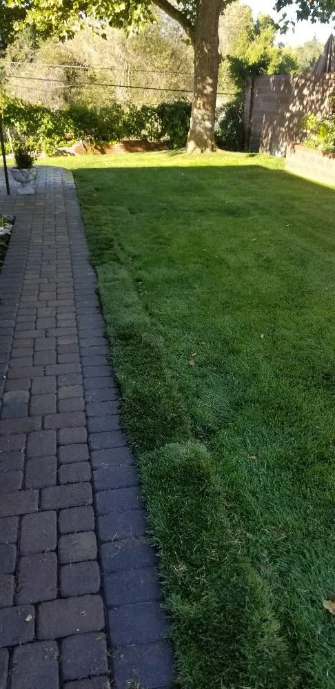 Professional landscape installation in Sparks, NV by Reno Sprinkler Repair & Sod