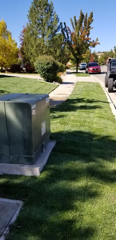 Top-rated lawn care service in Sparks, NV - Reno Sprinkler Repair & Sod