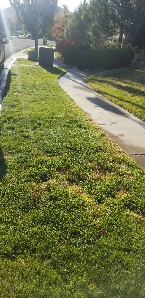 Trusted landscape installation in Sparks, NV - Reno Sprinkler Repair & Sod