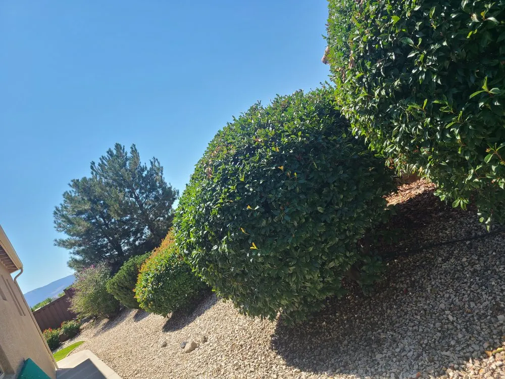 Affordable garden landscaping experts serving Reno, NV - Reno Tahoe Lawn & Landscaping