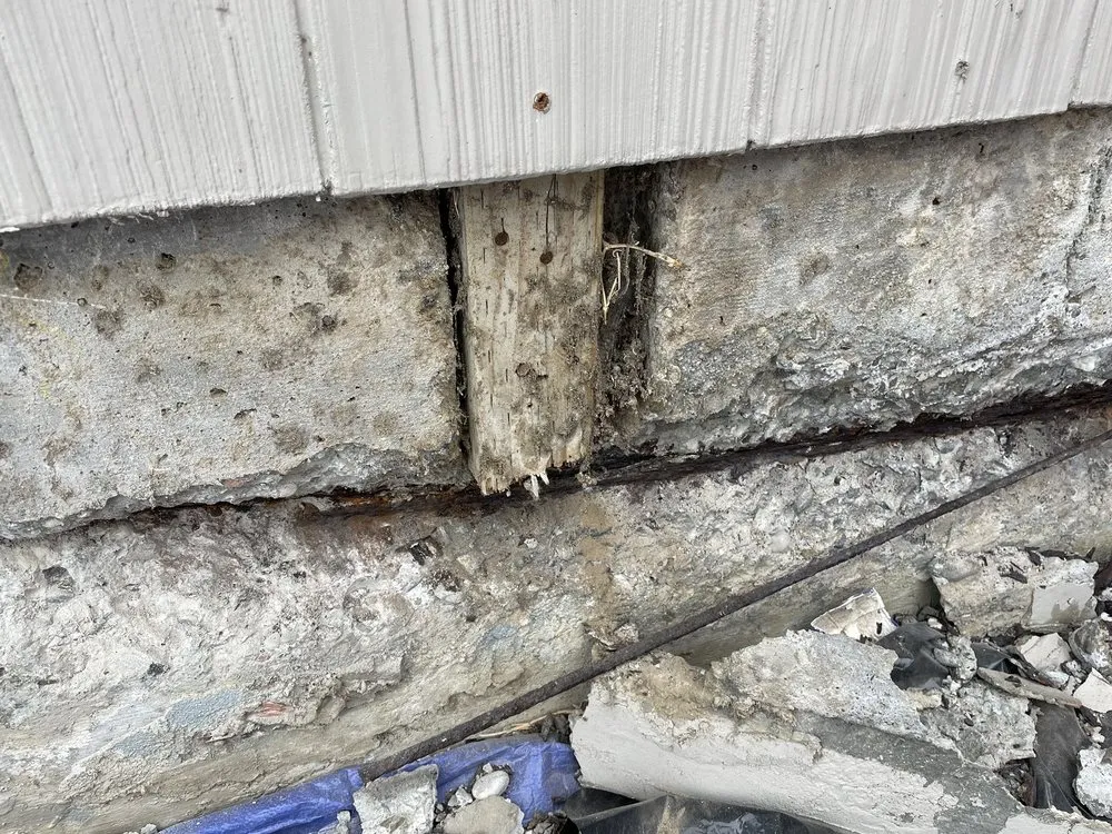 Expert garden landscaping in San Jose, CA by RenoPro Construction