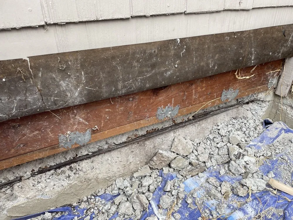 Top-rated yard cleanup service in San Jose, CA by RenoPro Construction