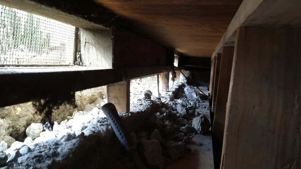 Professional lawn care service in Woodland, CA - Renopro Construction