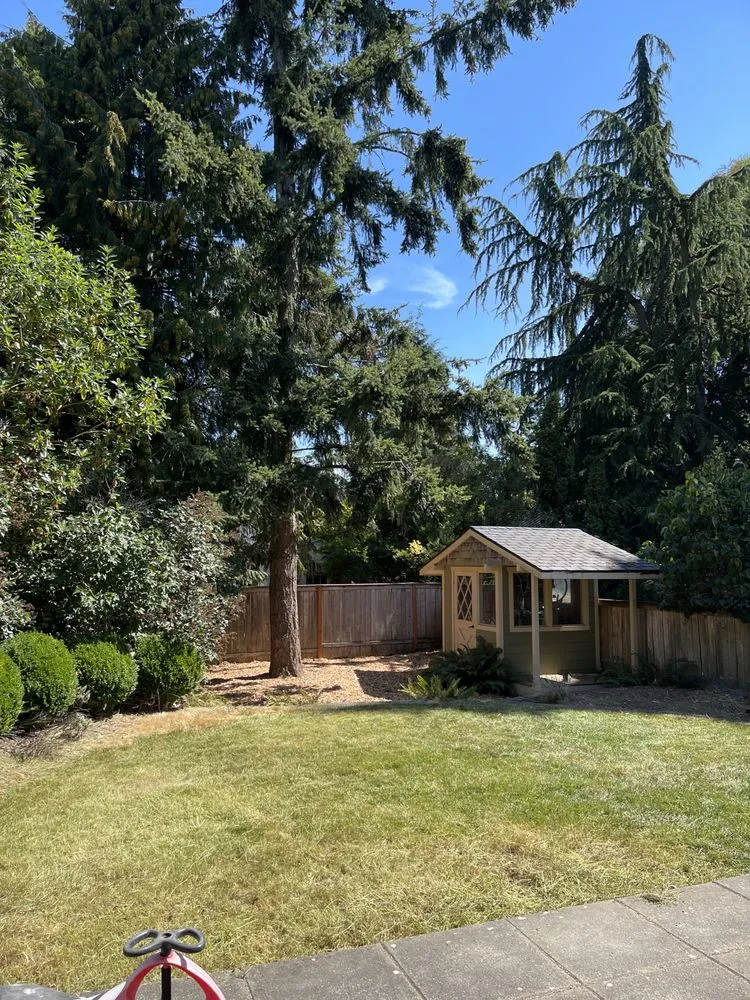 Top-rated landscape design experts serving Seattle, WA - Renos Landscaping