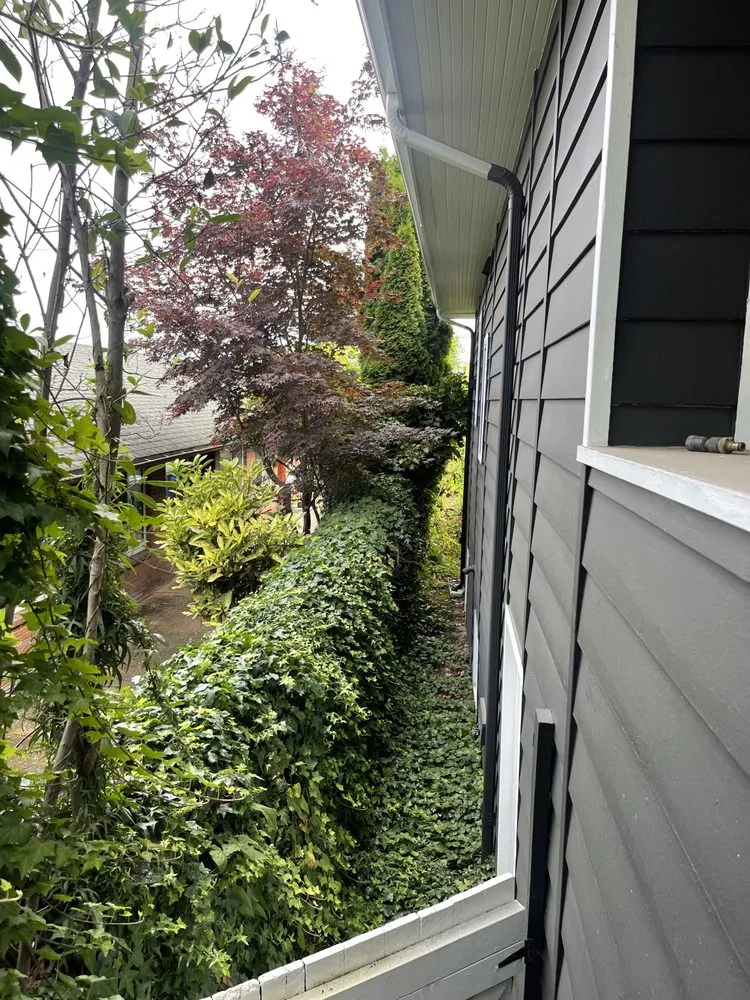 Expert yard maintenance in Seattle, WA by Renos Landscaping