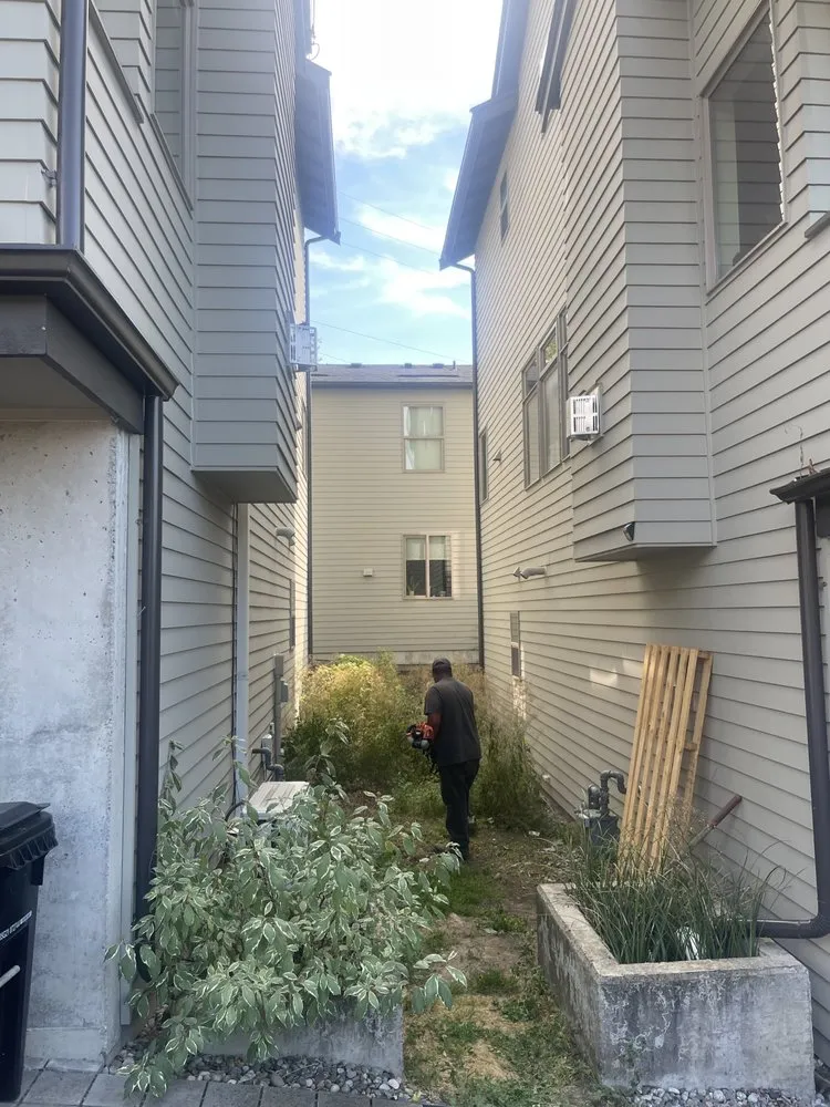 Expert outdoor landscaping in Seattle, WA - Renos Landscaping