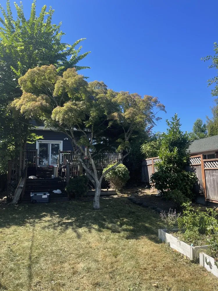 Trusted landscaping services for residential properties across Seattle, WA - Renos Landscaping