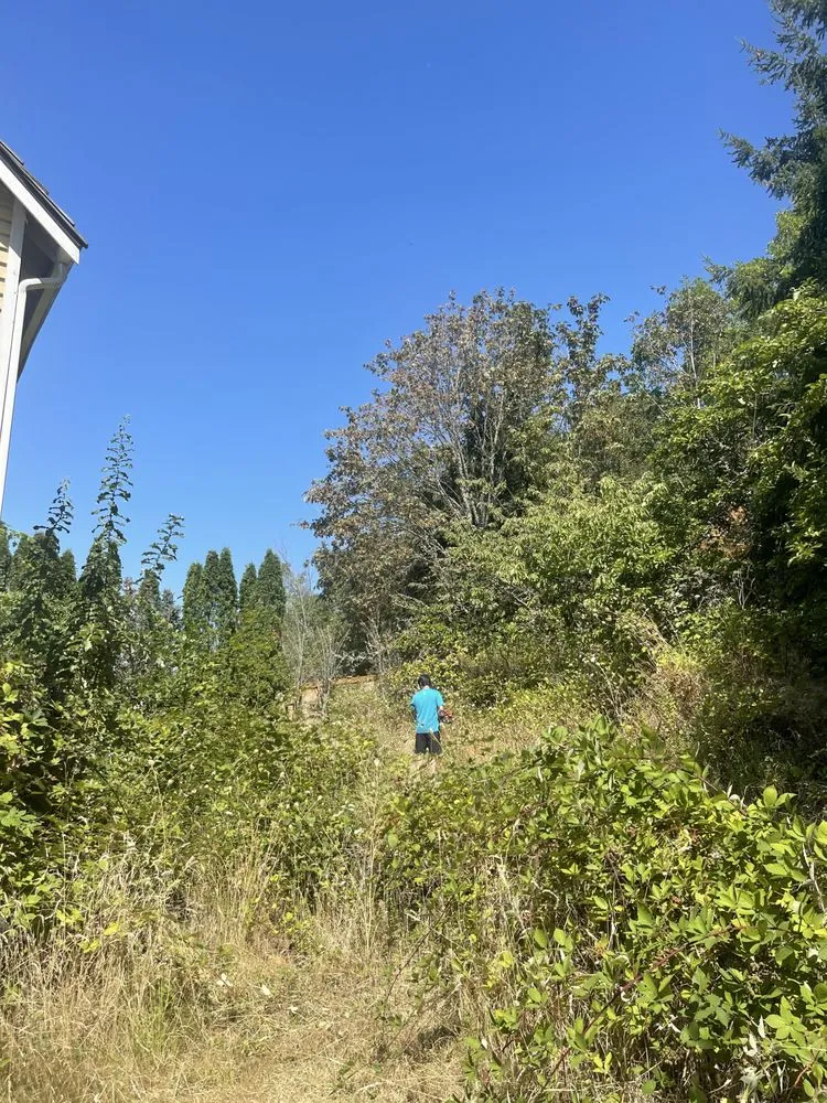 Top-rated garden landscaping with custom design in Seattle, WA by Renos Landscaping