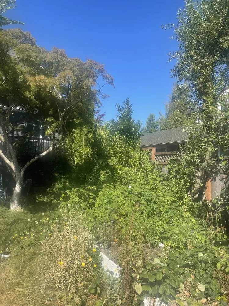 Reliable landscaping services in Seattle, WA by Renos Landscaping