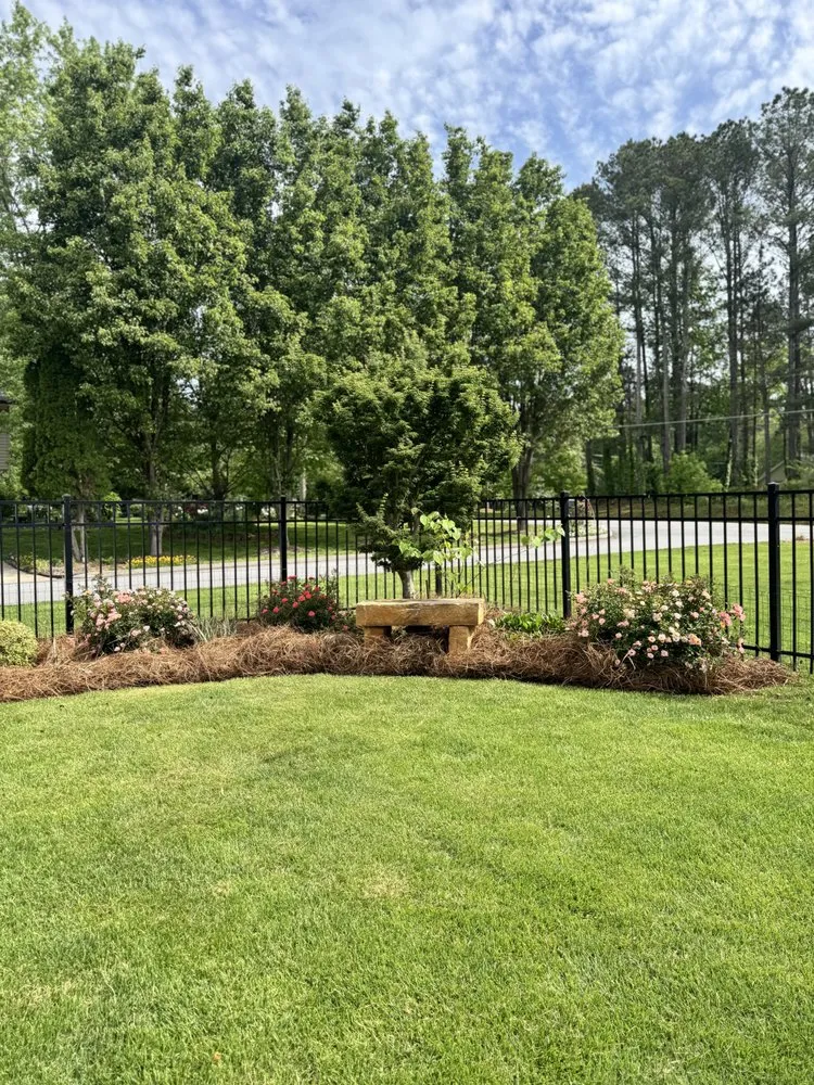 Trusted lawn care service in Berkeley Lake, GA - Renova Pro