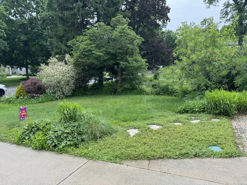 Affordable garden landscaping in Naperville, IL - Renovatio Landscape & Design