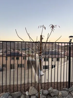 Renovation and Construction Services