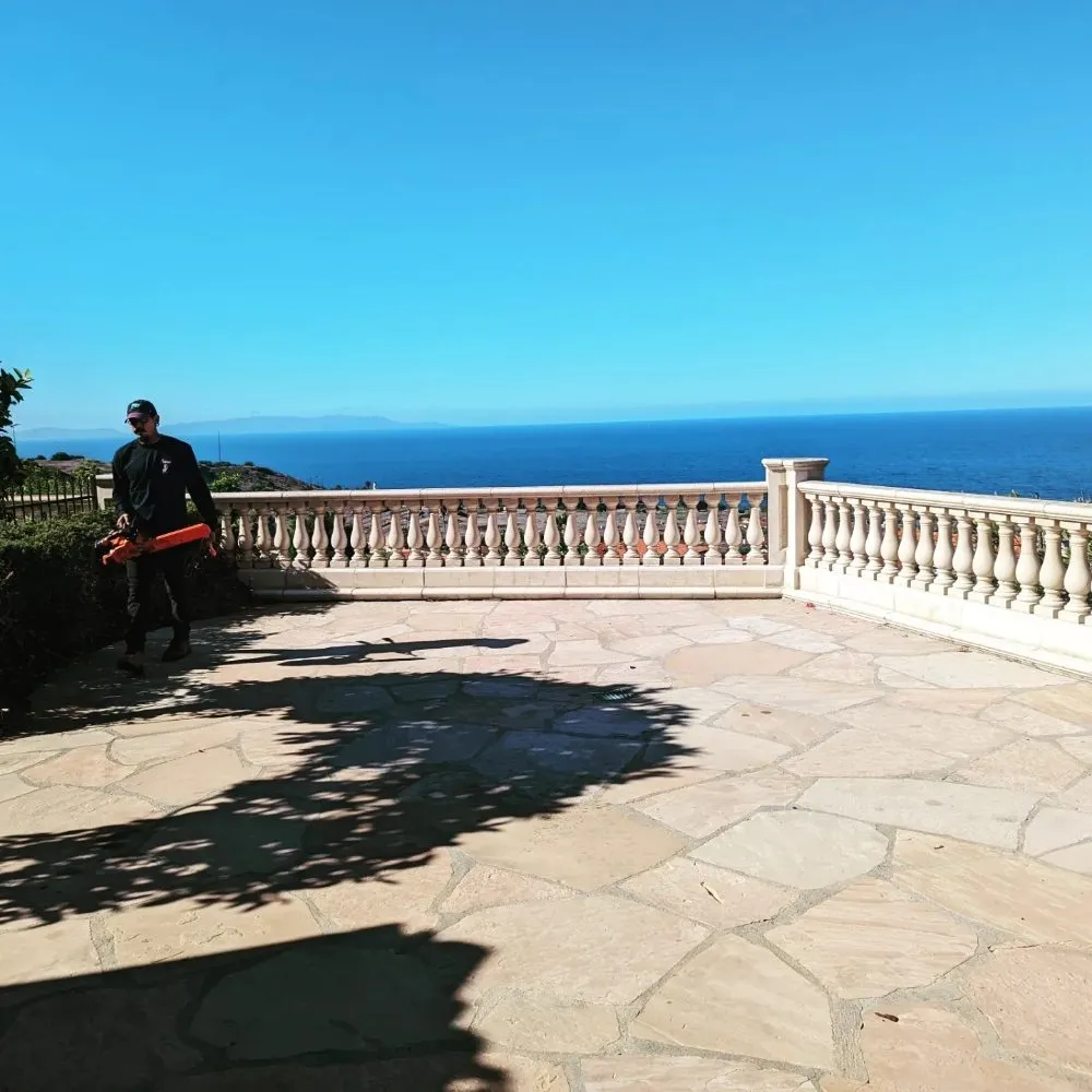 Trusted lawn mowing service in San Gabriel, CA by Renovation Garden Landscape