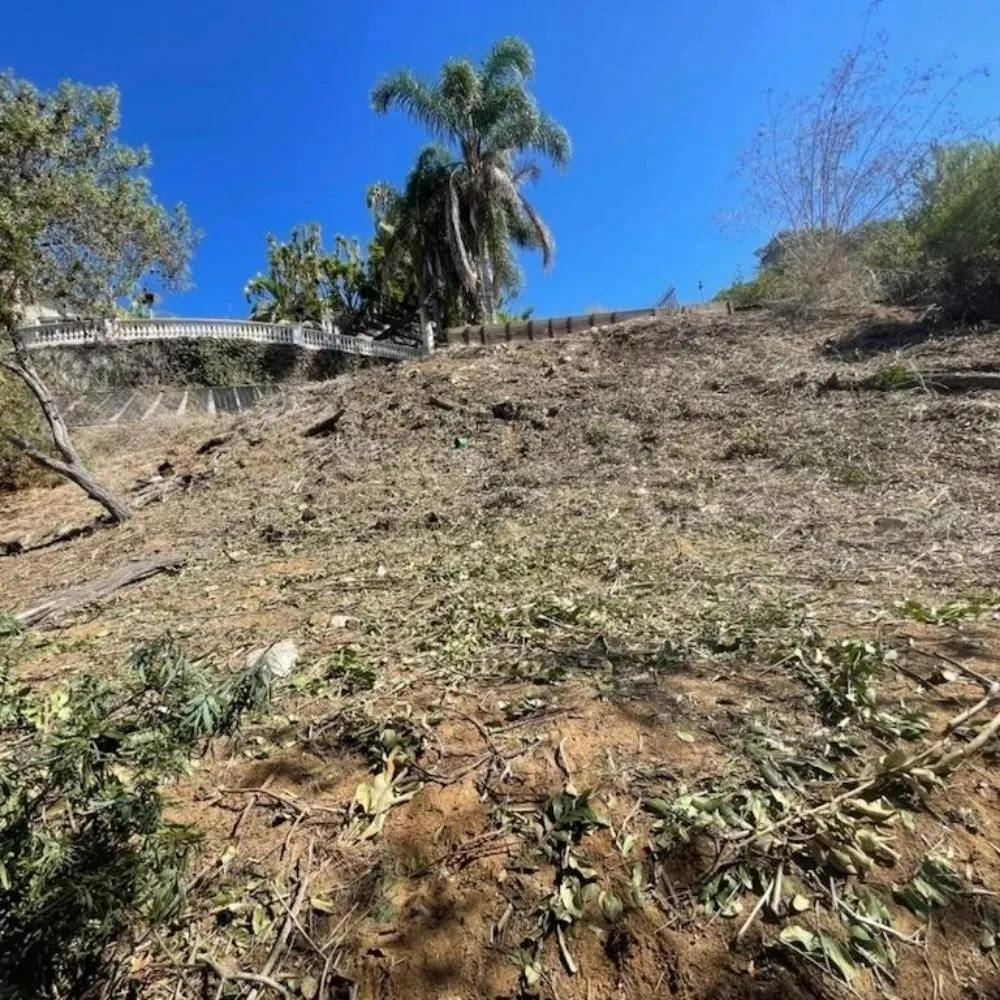 Top-rated landscape installation experts serving San Gabriel, CA - Renovation Garden Landscape