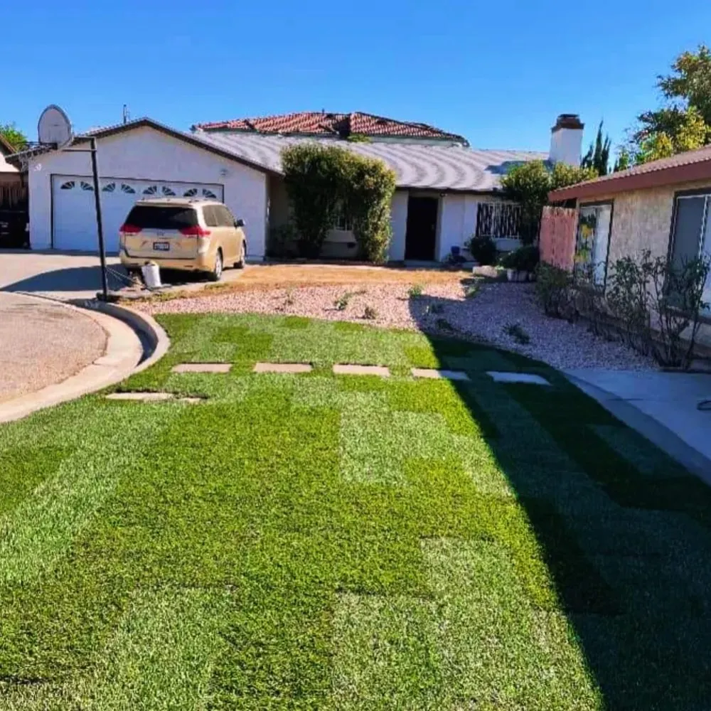 Professional yard cleanup service in San Gabriel, CA by Renovation Garden Landscape