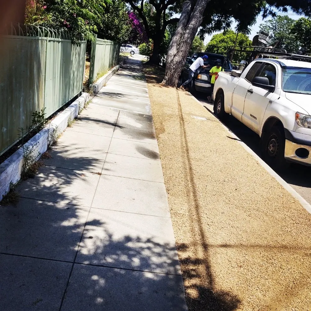 Expert residential landscaping in San Gabriel, CA - Renovation Garden Landscape