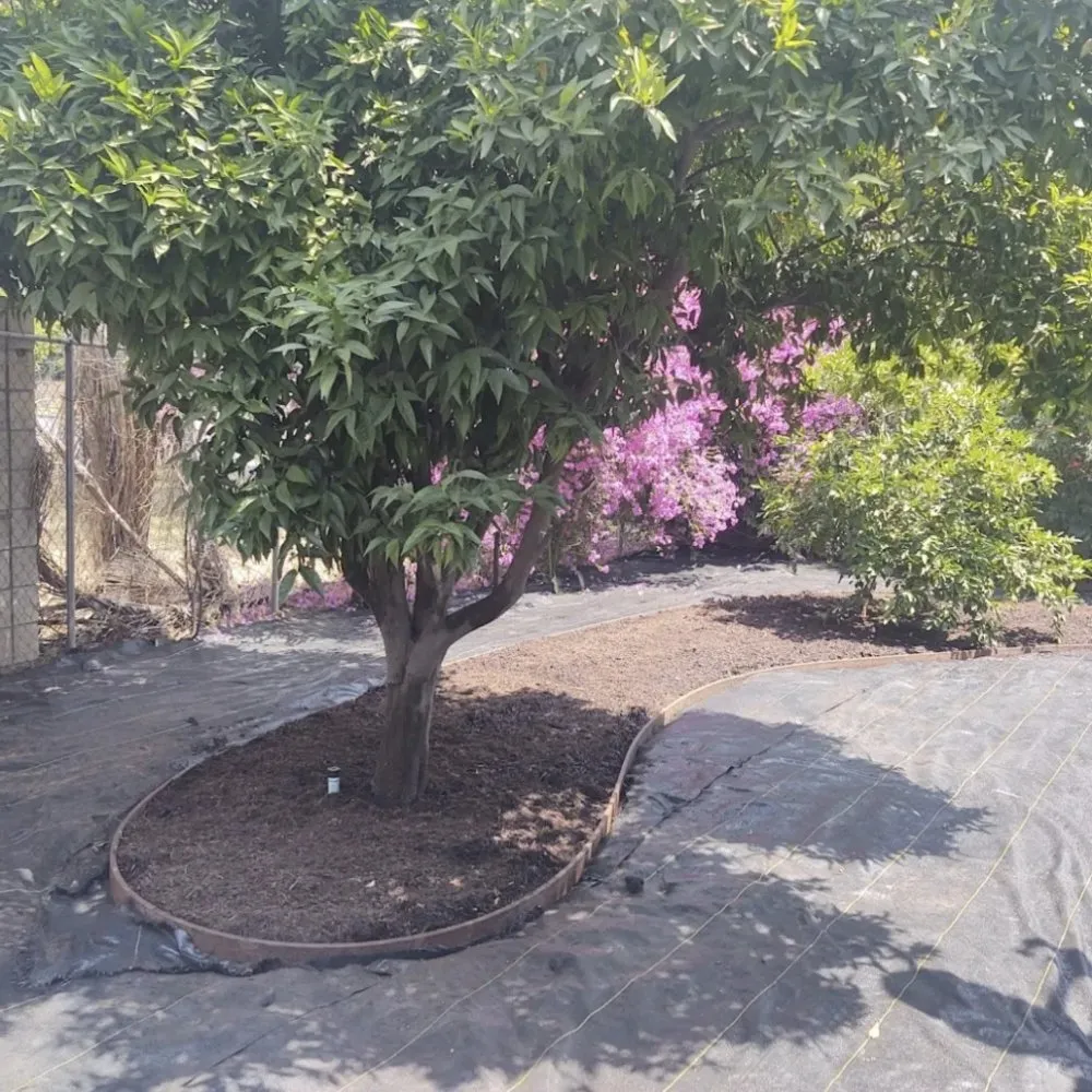 Trusted garden landscaping for year-round maintenance in San Gabriel, CA by Renovation Garden Landscape