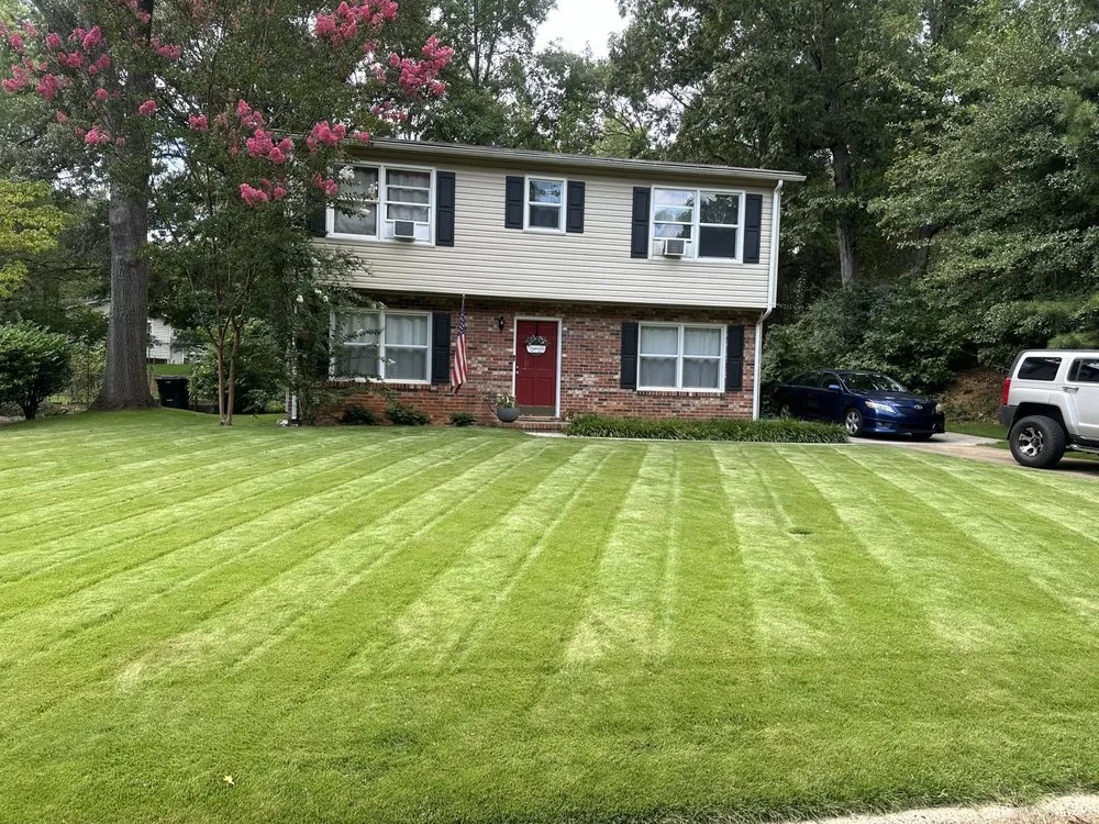 Trusted yard cleanup service in Simpsonville, SC - Renovation Landscapes